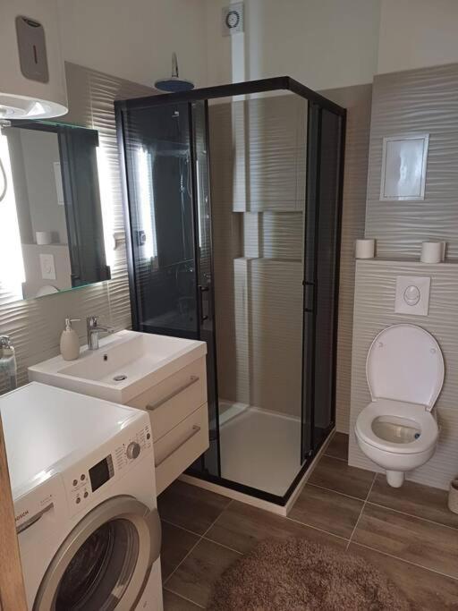 רייקה Central Vita Apartment מראה חיצוני תמונה