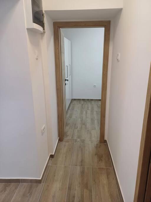 רייקה Central Vita Apartment מראה חיצוני תמונה