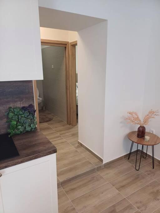 רייקה Central Vita Apartment מראה חיצוני תמונה